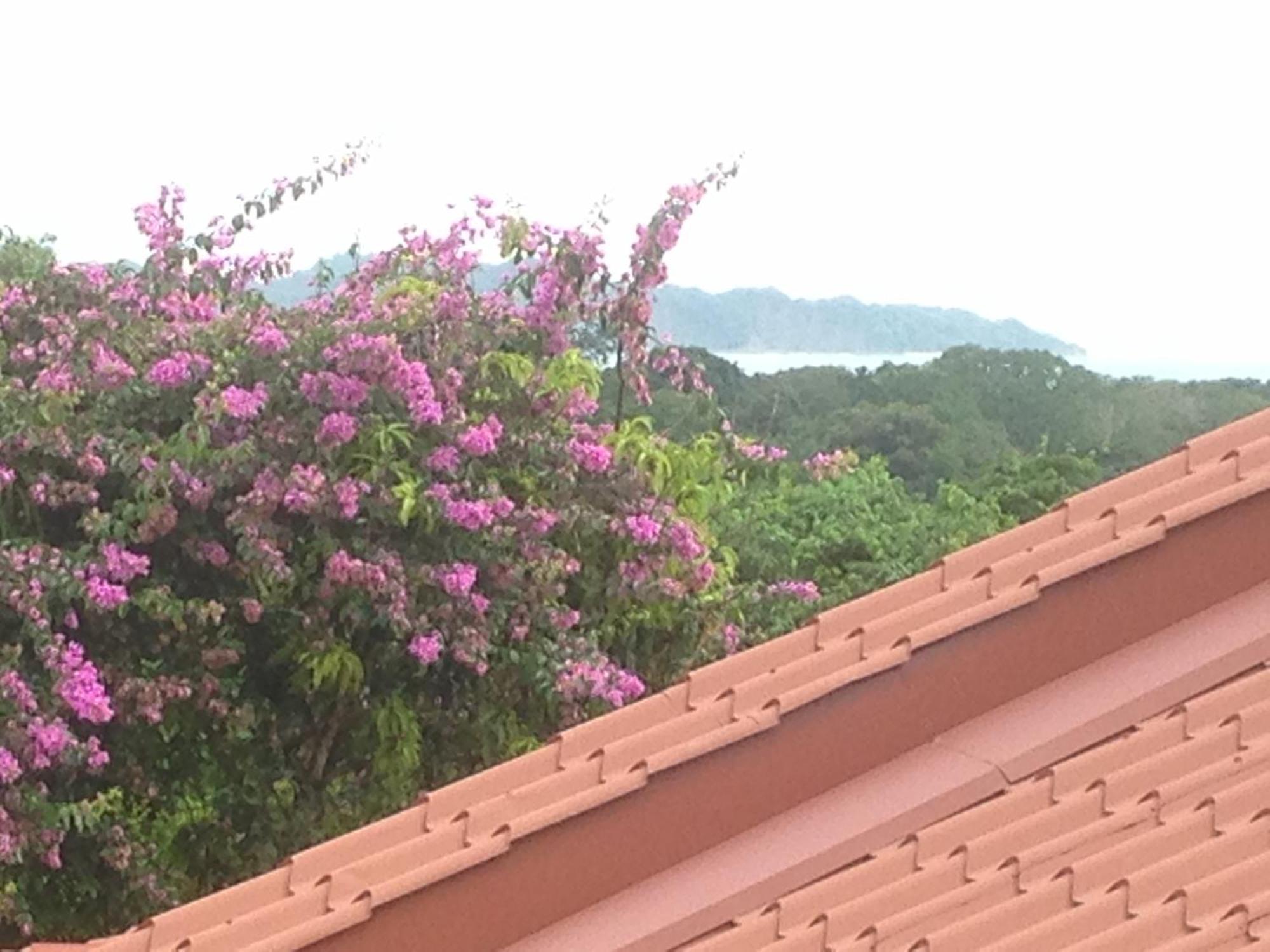 Villa Mango B&B 노사라 외부 사진