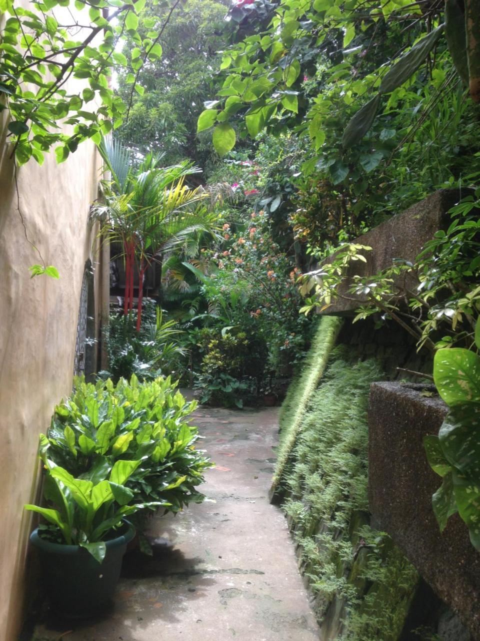 Villa Mango B&B 노사라 외부 사진